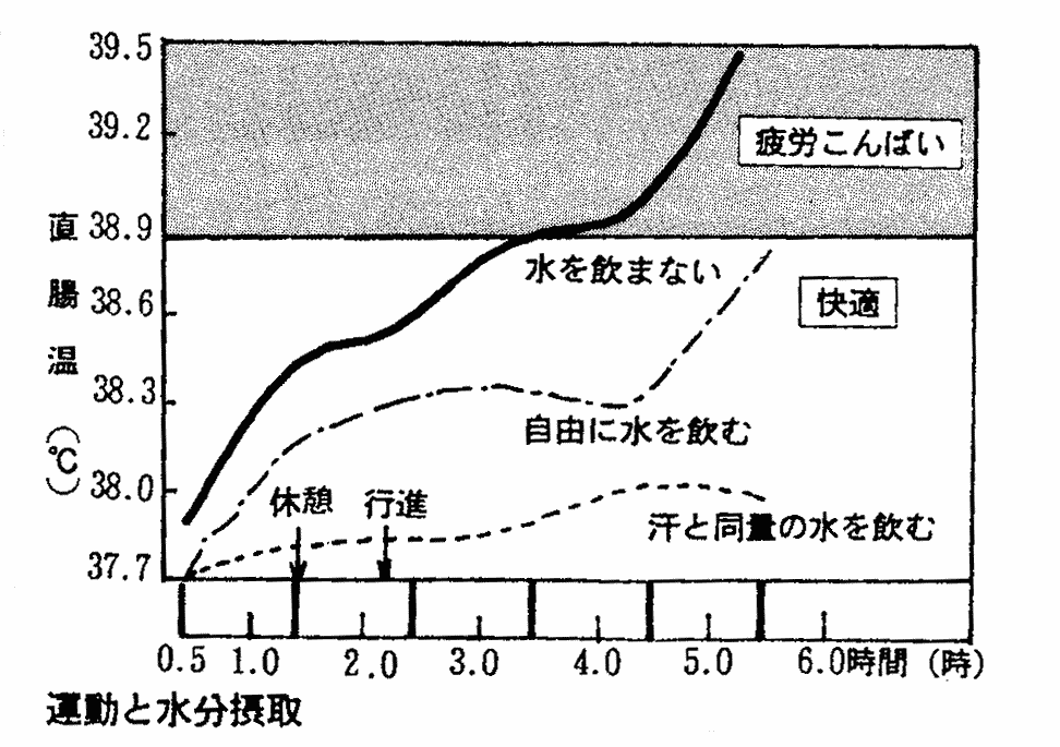 以前は運動中に水を飲むと叱られましたが最近では飲んでよいといわれています。なぜですか?